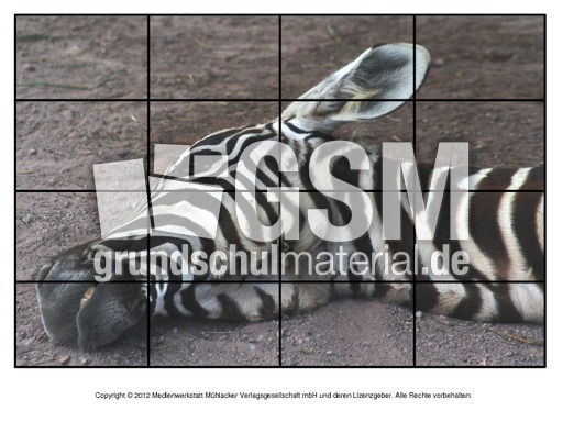 Puzzle-Damarazebra-2.pdf